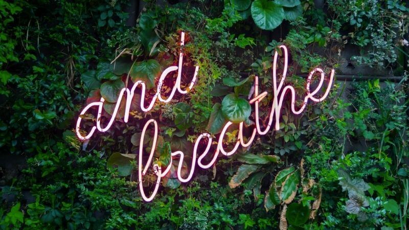 The Power of Breathwork